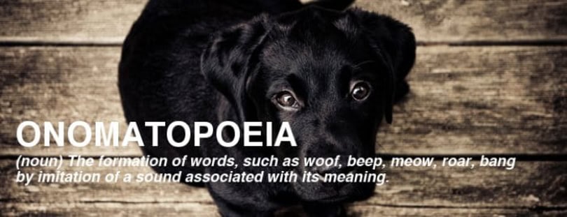 How to Improve Vocabulary Effortlessly 7 improve-vocabulary-word: onomatopoeia