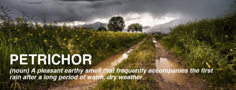 How to Improve Vocabulary Effortlessly 4 improve-vocabulary-word: petrichor